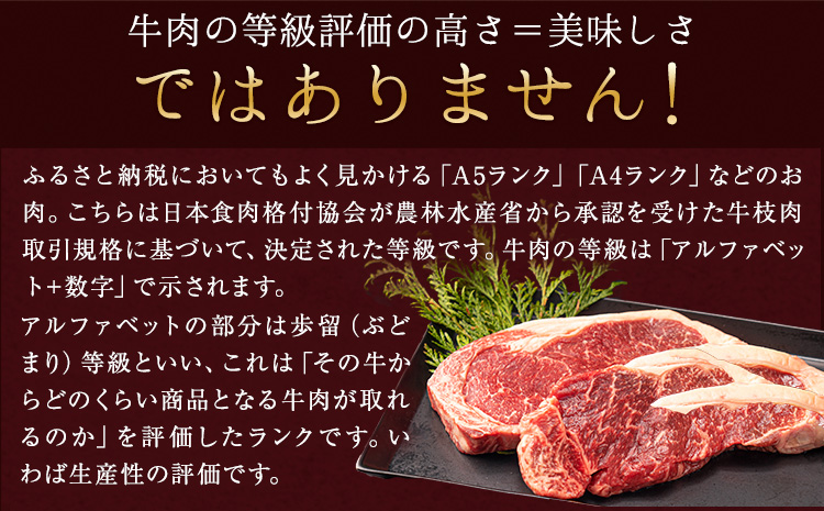 あか牛（褐毛和牛） サーロイン ステーキ 500g 牛肉 冷凍《2026年1月中旬-3月末頃出荷》---gkt_faksir_bc13_r8_18000_500g---