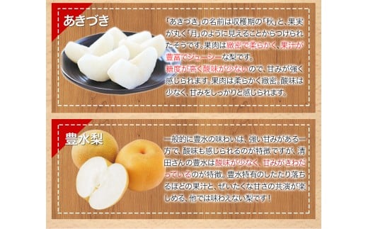 【日付指定不可】『清田果樹園』の原倉梨 《9月上旬-10月上旬頃出荷》 約5kg 6-14玉前後  あきづき 豊水梨 熊本---sg_ckiyotanashi_ad9_r7_14000_5kg--- st-p