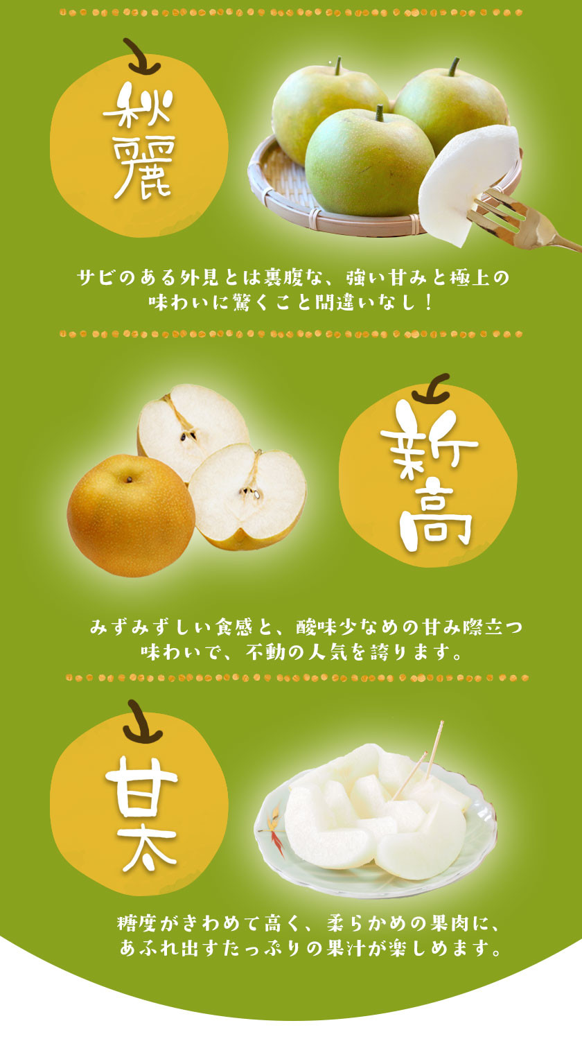 さかもと果樹園の玉東梨 約3kg (3玉-10玉前後) 《8月中旬-9月末頃出荷》【日付指定・品種指定不可】 ---sg_csksyun_bc8_r8_12000_3kg---