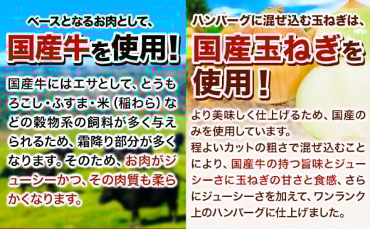 ハンバーグ 10個 国産のお肉使用！ 鶏肉不使用 温めるだけ 「通の贅沢ハンバーグ」特製ジャポネソース 《11月上旬-11月末頃出荷》 牛 訳あり 小分け 早く届く---gkt_fuhg_ac11_r7_9500_10i_tj---