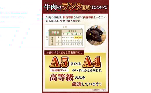 くまもと黒毛和牛 サーロイン リブロース 内モモ 希少部位 500g 牛肉  《30日以内に出荷予定(土日祝除く)》 ---gkt_fkgsrumky_30d_r8_12000_500g---