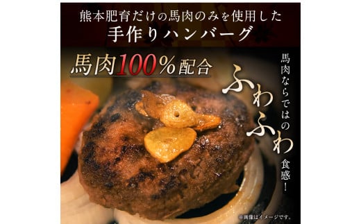 手作りハン馬ーグ 《30日以内に出荷予定(土日祝除く)》 100g×10個 馬肉100%配合！【熊本肥育】---gkt_fkgumburg_30d_r7_12000_10k---