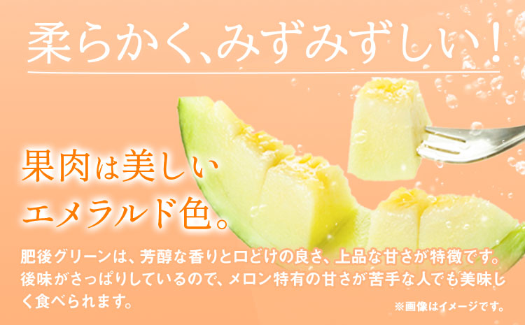 【先行予約】肥後グリーンメロン 2玉 児玉農園 1玉(1.8kg以上)《5月上旬-5月末頃出荷》メロン グリーンメロン 熊本県 玉東町 フルーツ 果物---sg_kdmhg_ac5_r7_14500_2i---
