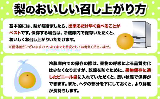 【日付指定不可】『本田農園』旬の梨　約5kg 5～16玉 本田農園《8月下旬-10月上旬頃出荷》 熊本県玉名郡玉東町 梨 なし 果物 旬---sg_chndns_l810_r7_13500_5kg---