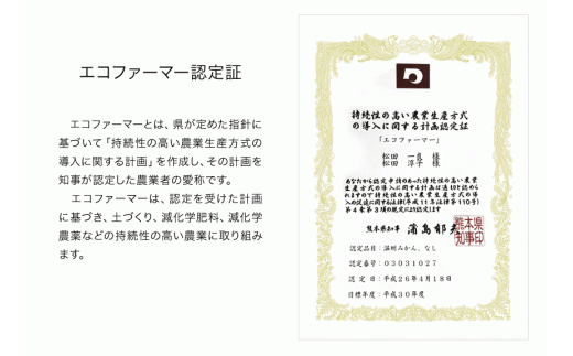 【日付指定不可】『松田農園』のくまもと梨約5kg 8-18玉前後  『松田農園』なし《7月下旬-9月末頃出荷》  果物 スイーツ---sg_cmatsunashi_cf79_r7_16000_5kg---