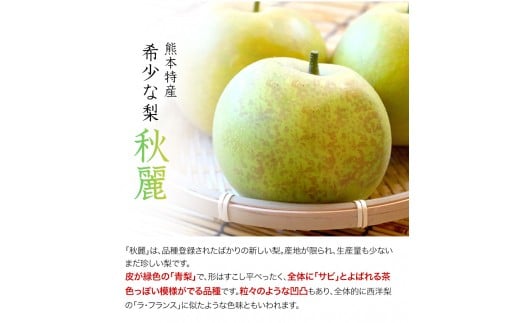 熊本県産『緑伸園』の秋麗梨 《8月上旬-8月下旬頃出荷》約3kg 5～9玉前後 なし麗 果物 デザート スムージーにも---sg_cryokushu_ab8_r7_13000_3kg---