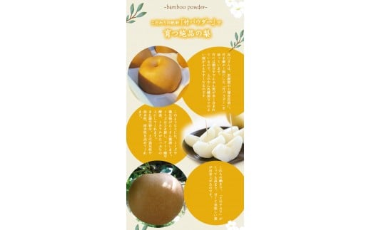 『谷口農園』の玉東梨 《8月中旬-10月上旬頃出荷》約3kg前後(約4-10玉前後)  【日付指定・品種指定不可】『谷口農園』---sg_ctaninashi_g810_r7_12000_3kg---