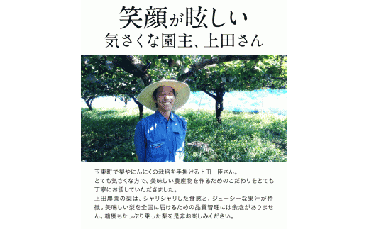 『上田農園』の玉東梨 《8月中旬-10月上旬頃出荷》 約3kg 3-10玉前後 『上田農園』なし ---sg_cuedanashi_g810_r7_12000_3kg---