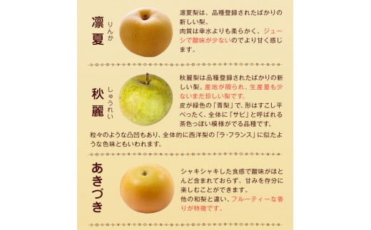 玉東梨(旬の品種をお届けします)約3kg(4玉～10玉) なし 果物上田果樹園 《7月下旬-9月下旬頃出荷》---sg_cuednasi_p79_r7_12000_3kg---
