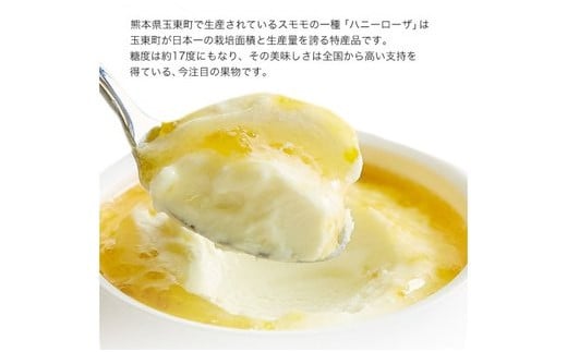 糖度17度の甘さ♪ハニーローザアイスクリーム 120ml×8個 《60日以内に出荷予定(土日祝除く)》  ぷらっとぎょくとう---sg_fhoneyrosa_60d_26_14500_8p---