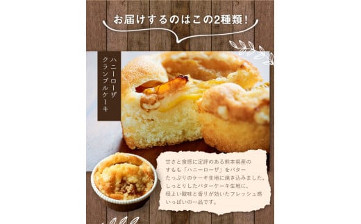 ハニーローザカップケーキセット 熊本県玉名郡玉東町 すもも ハニーローザ ぷらっとぎょくとう《60日以内に出荷予定(土日祝除く)》---sg_gytcake_60d_26_15500_10p---