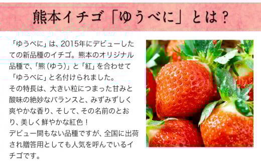 幻のスモモ【ハニーローザ】使用アイスモナカセット8個入  すもも ぷらっとぎょくとう《60日以内に出荷予定(土日祝除く)》---sg_fhromonaka_60d_26_14500_8p---