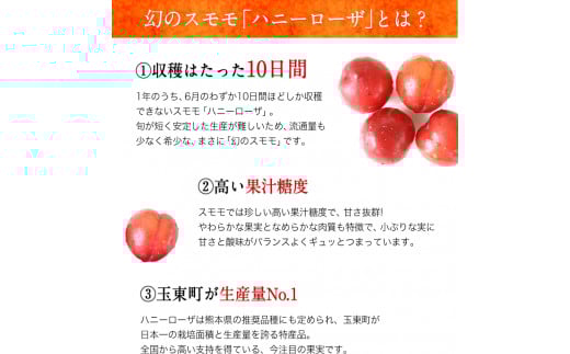 コンフィチュールセット 【ハニーローザ】【イチゴ(ゆうべに)】《60日以内に出荷予定(土日祝除く)》  ぷらっとぎょくとう---sg_gytjam_60d_26_10500_3set---