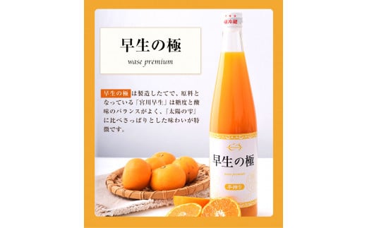『菅本果実園』こだわりの手搾りみかんジュースセット 太陽の雫530ml×1本早生の極み530ml×1本《11月下旬‐4月末頃出荷》 ---sg_mikanju_cf114_25_17500_2i---