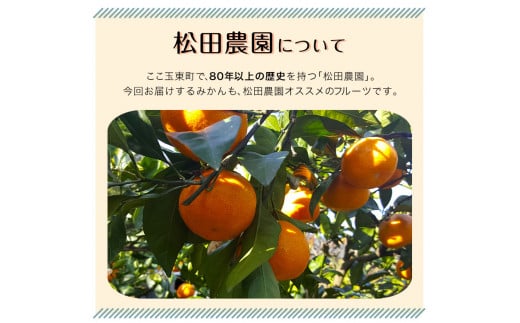 みかん ご家庭用『松田農園』ご家庭用みかん 約10kg(S-2Lサイズ) たっぷり 【日付指定不可】  約10kg ≪11月上旬-1月下旬頃出荷≫---sg_wmmikan_ak111_r7_10500_10kg---