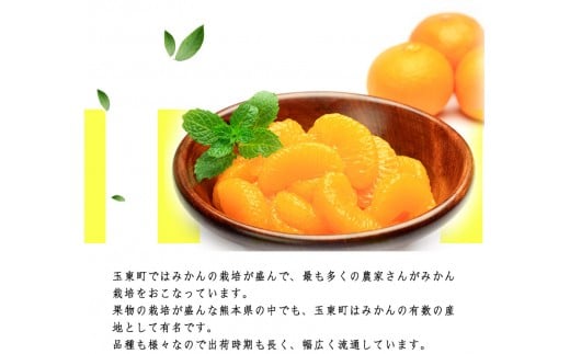 熊本県玉東町産限定『坂田農園』のみかん 大容量 約10kg(2S-Lサイズ)《10月上旬-1月末頃出荷》秋 ジャム ゼリー ---sg_sktsmk_af101_25_13500_10kg---