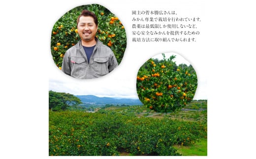 『菅本果実園』のみかん約3kg(2S-Lサイズ)  全国にファン多数！菅本さんのみかん《11月中旬-12月末頃出荷》---sg_sugamikan_bc11_25_10500_3kg---