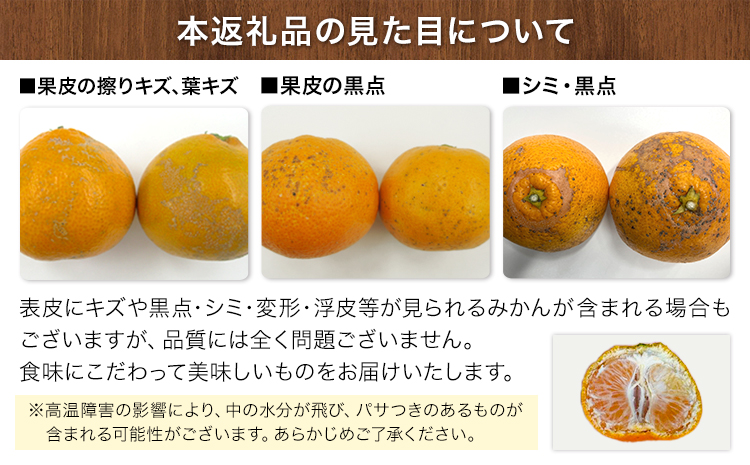 ご家庭用『かっちゃんファーム』のご家庭用みかん★ 約10kg【2S-2Lサイズ(大小サイズ混合)】 自然本来のおいしさ！《1月上旬-1月末頃出荷》---sg_kmkn2s2l_ac1_25_10000_10kg---