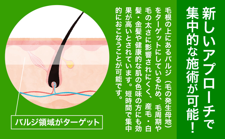 脱毛 チケット 脱毛サロン Mizuki あおば整骨院 3,000円チケット 《30日以内に発送予定(土日祝除く)》熊本県 玉東町 脱毛 美容脱毛 メンズ脱毛 美容 サロン 完全個室 都度払い制 リオキシー 腕 脇 うなじ 膝---sg_aobdmt_30d_r7_11000_3000yen---