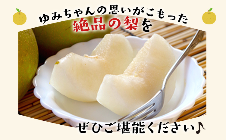 ゆみちゃん農園の玉東梨 約5kg(7～16玉前後) 《2026年8月下旬-10月上旬頃出荷》  梨 なし 果物 フルーツ---sg_cyuminashi_l810_r8_14500_5kg---