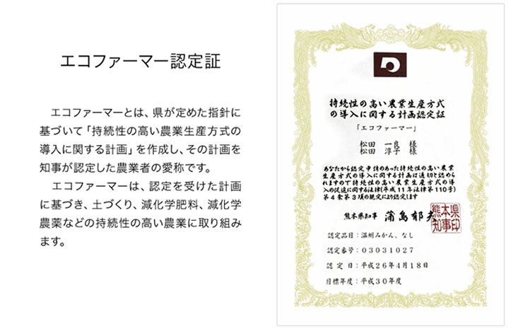 【日付指定不可】 『松田農園』の くまもと 梨 約2kg 熊本県玉名郡玉東町『松田農園』なし 《7月下旬-9月末頃出荷》---sg_cmatsunashi_cf79_r7_10000_2kg---