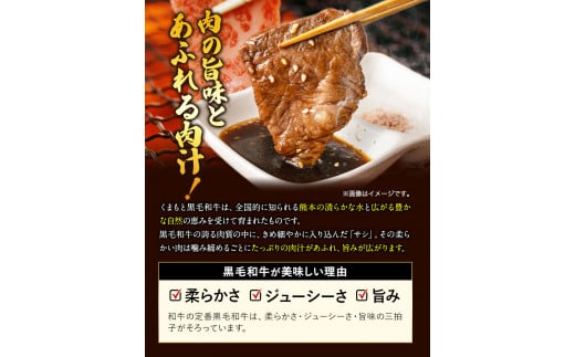 くまもと黒毛和牛 サーロイン リブロース 内モモ 希少部位 500g 牛肉  《30日以内に出荷予定(土日祝除く)》 ---gkt_fkgsrumky_30d_r8_12000_500g---