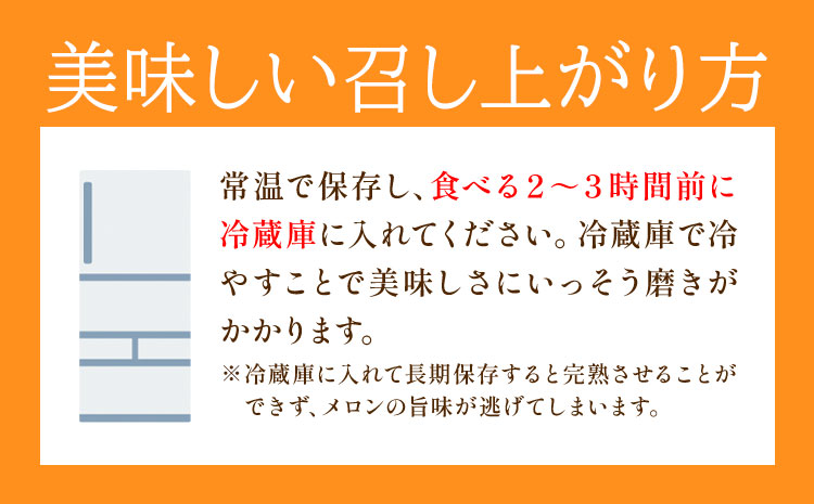 【先行予約】肥後グリーンメロン 2玉 児玉農園 1玉(1.8kg以上)《5月上旬-5月末頃出荷》メロン グリーンメロン 熊本県 玉東町 フルーツ 果物---sg_kdmhg_ac5_r7_14500_2i---