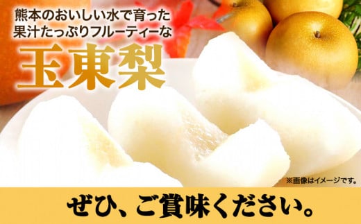 【日付指定不可】『本田農園』旬の梨　約5kg 5～16玉 本田農園《8月下旬-10月上旬頃出荷》 熊本県玉名郡玉東町 梨 なし 果物 旬---sg_chndns_l810_r7_13500_5kg---