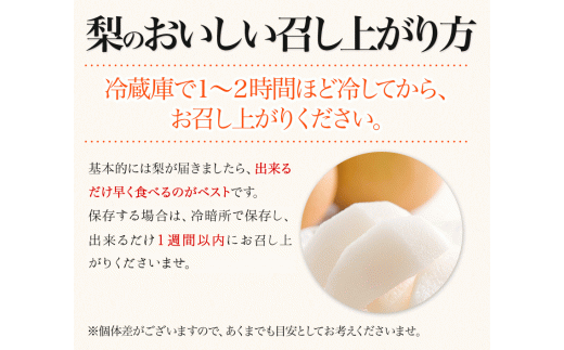 【日付指定不可】『松田農園』のくまもと梨約5kg 8-18玉前後  『松田農園』なし《7月下旬-9月末頃出荷》  果物 スイーツ---sg_cmatsunashi_cf79_r7_16000_5kg---