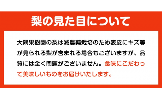 大隅果樹園の玉東梨(旬の品種をお届けします) 約5kg(13-20玉前後)   《8月中旬-9月上旬頃出荷》---sg_coosuminasi_g8_r7_13000_5kg---