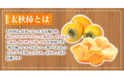 『緑伸園』の大玉 夕焼け太秋柿 《11月上旬-12月上旬頃出荷》 約2.5kg 4-7玉前後 　柿 【クール便】---sg_cryokukaki_h11_r8_13500_5kg---
