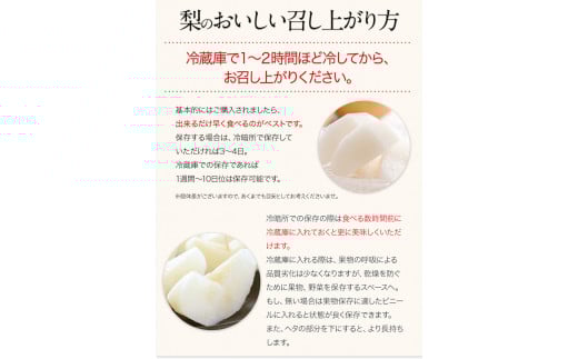 『緑伸園』旬の梨 たっぷり約3kg 《8月中旬-9月下旬頃出荷》 (旬の品種をお届けします！) 4-8玉前後入り ---sg_cryokunashi_k8_r7_12000_3kg---