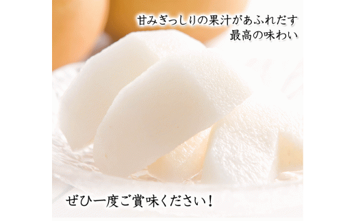 『坂西果樹園』の豊水梨 たっぷり約5kg(8-15玉前後)こだわり抜かれた栽培方法！《8月中旬-9月中旬頃出荷》  なし 豊水  ---sg_csknasi_q8_r8_14500_5kg---