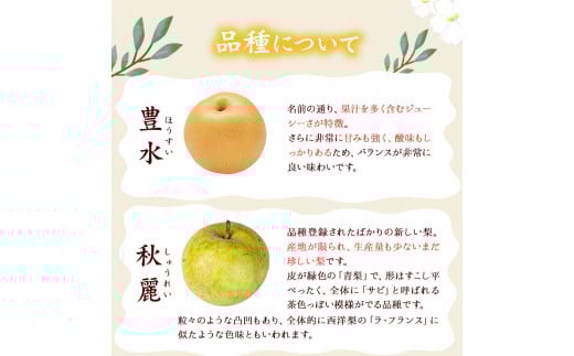 『谷口農園』の玉東梨 《8月中旬-10月上旬頃出荷》 約5kg前後(約6-16玉前後) 【日付指定・品種指定不可】 なし 果物---sg_ctaninashi_g810_r7_14000_5kg---