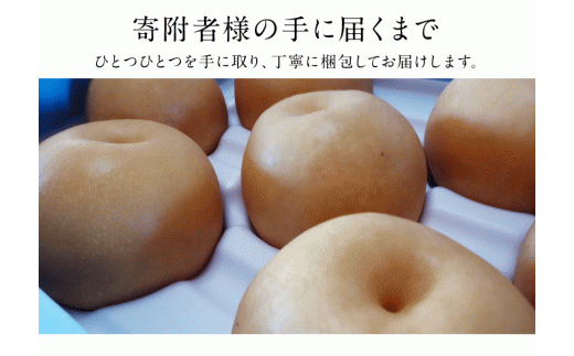 『上田農園』の玉東梨 《8月中旬-10月上旬頃出荷》 約3kg 3-10玉前後 『上田農園』なし ---sg_cuedanashi_g810_r7_12000_3kg---