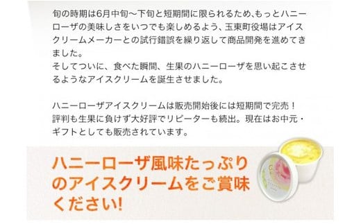 糖度17度の甘さ♪ハニーローザアイスクリーム 120ml×8個 《60日以内に出荷予定(土日祝除く)》  ぷらっとぎょくとう---sg_fhoneyrosa_60d_26_14500_8p---