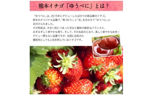 コンフィチュールセット 【ハニーローザ】【イチゴ(ゆうべに)】《60日以内に出荷予定(土日祝除く)》  ぷらっとぎょくとう---sg_gytjam_60d_26_10500_3set---