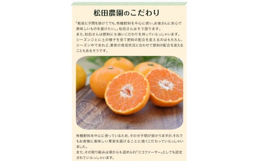 みかん ご家庭用『松田農園』ご家庭用みかん 約10kg(S-2Lサイズ) たっぷり 【日付指定不可】  約10kg ≪11月上旬-1月下旬頃出荷≫---sg_wmmikan_ak111_r7_10500_10kg---