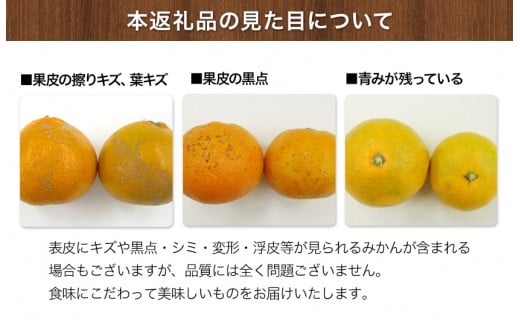 ご家庭用訳あり 『坂田農園』のご家庭用みかん 大容量 約10kg(2S-2Lサイズ)《10月上旬-1月末頃出荷》 ---sg_sktwmk_af101_25_11000_10kg---