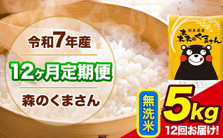 令和7年産 森のくまさん【12ヶ月定期便】 無洗米 《お申込み翌月から出荷》5kg(5kg×1袋) 計3回お届け 熊本県産 単一原料米 森くま 熊本県 玉東町---mk7tei_132000_5kg_mo12_gkt_m---