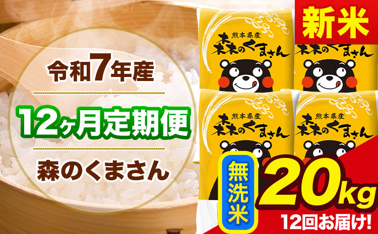 新米 令和7年産 森のくまさん【12ヶ月定期便】 無洗米 《お申込み翌月から出荷》20kg(5kg×4袋) 計3回お届け 熊本県産 単一原料米 森くま 熊本県 玉東町---mk7tei_552000_20kg_mo12_gkt_m---
