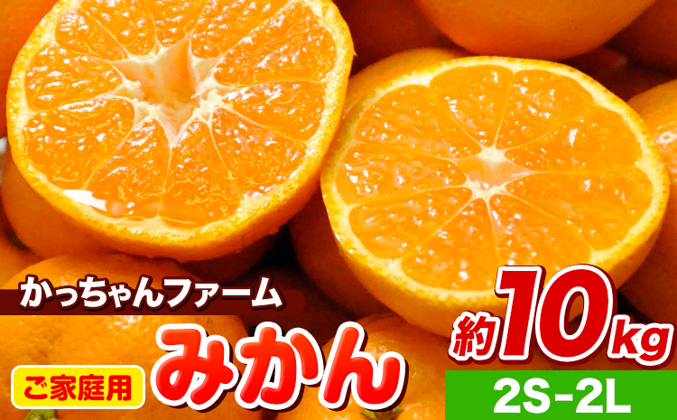 ご家庭用『かっちゃんファーム』のご家庭用みかん★ 約10kg【2S-2Lサイズ(大小サイズ混合)】 自然本来のおいしさ！《1月上旬-1月末頃出荷》---sg_kmkn2s2l_ac1_25_10000_10kg---