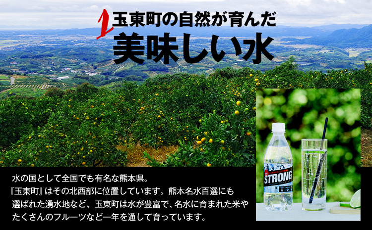 【3ヶ月定期便】強炭酸水6箱（計3回お届け 合計6ケース: 500ml×144本）《申込み翌月から発送》強炭酸水 熊本県玉東町産の水を使用! クリアで爽快な喉越し！くまもと風土の強炭酸水★ストロング炭酸水 ふるさと納税 熊本県 玉東町 炭酸水 水 強炭酸 送料無料 便利 ダイエットしたい方に スポーツ お酒割---gkt_stgtei_r7_37500_24l_mo3--- 【3ヶ月定期便】500ml×48本