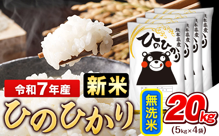 新米 令和7年産 無洗米 ひのひかり 20kg《7-14日以内に出荷予定(土日祝除く)》コメ 米 無洗米 令和7年産 高レビュー｜人気米 熊本県産米 お米 生活応援米---gkt_hn7_wx_46000_20kg_m---