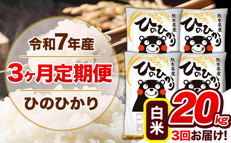 【3ヶ月定期便】令和7年産 定期便 白米 ひのひかり 20kg 《お申込み翌月から出荷》令和7年産 熊本県産｜人気米 熊本県産米 お米 生活応援米---hn7tei_127500_20kg_mo3_gkt_h---