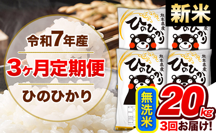 【3ヶ月定期便】新米 令和7年産 定期便 無洗米 ひのひかり 20kg 《お申込み翌月から出荷》令和7年産 熊本県産｜人気米 熊本県産米 お米 生活応援米---hn7tei_138000_20kg_mo3_gkt_m---