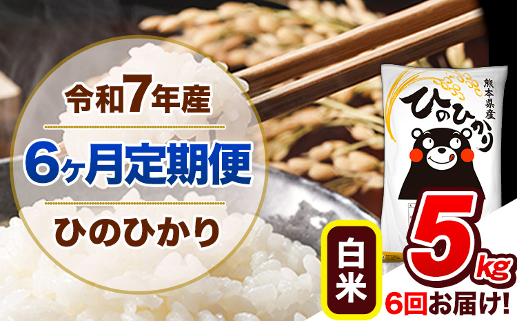 【6ヶ月定期便】令和7年産 定期便 白米 ひのひかり 5kg 《お申込み翌月から出荷》令和7年産 熊本県産｜人気米 熊本県産米 お米 生活応援米---hn7tei_69000_5kg_mo6_gkt_h---
