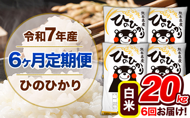 【6ヶ月定期便】令和7年産 定期便 白米 ひのひかり 20kg 《お申込み翌月から出荷》令和7年産 熊本県産｜人気米 熊本県産米 お米 生活応援米---hn7tei_255000_20kg_mo6_gkt_h---