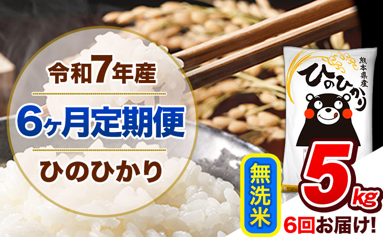 【6ヶ月定期便】令和7年産 定期便 無洗米 ひのひかり 5kg 《お申込み翌月から出荷》令和7年産 熊本県産｜人気米 熊本県産米 お米 生活応援米---hn7tei_69000_5kg_mo6_gkt_m---