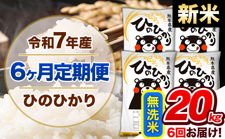 【6ヶ月定期便】新米 令和7年産 定期便 無洗米 ひのひかり 20kg 《お申込み翌月から出荷》令和7年産 熊本県産｜人気米 熊本県産米 お米 生活応援米---hn7tei_276000_20kg_mo6_gkt_m---